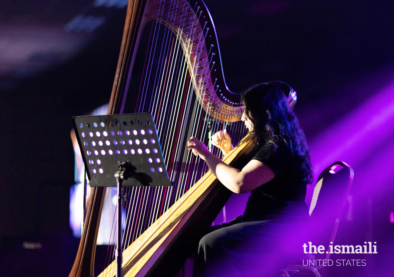 Artist in the performance art category as a musician category playing the harp.