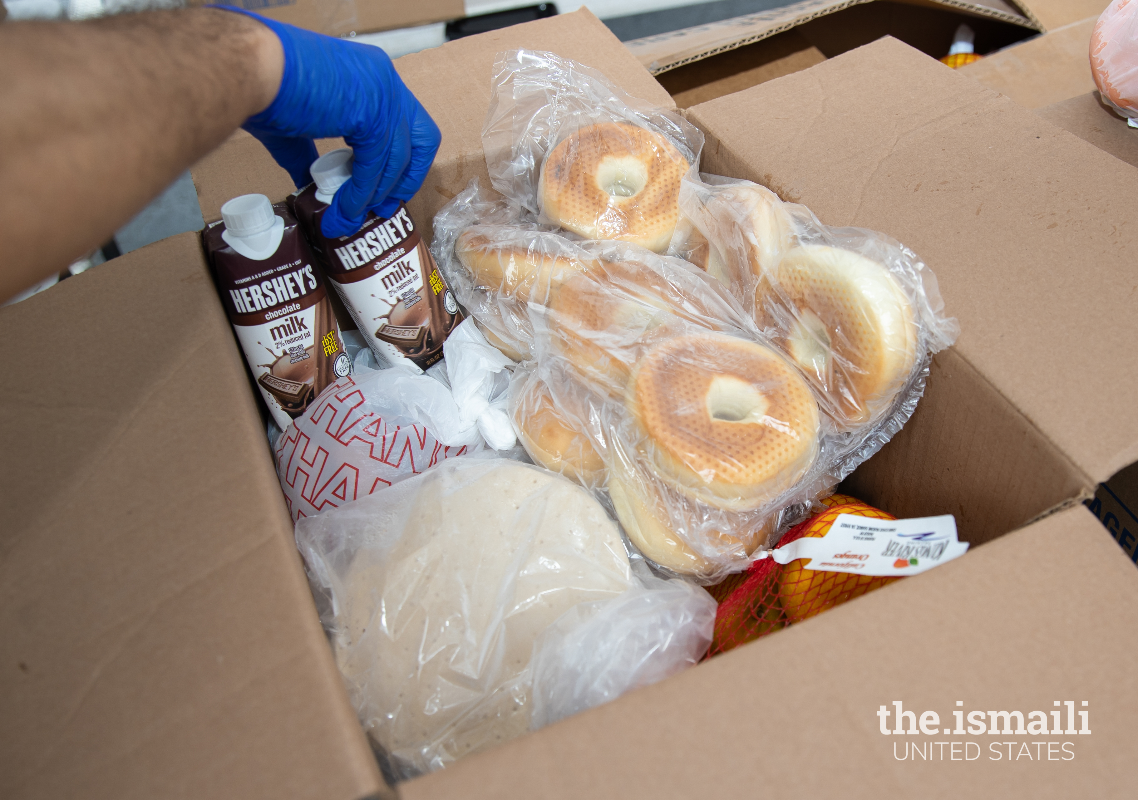 Through a partnership with I-CERV, Mid-South Food Bank & Focus Humanitarian Assistance, over 350 boxes of nutritious food were provided to needy families at the mobile food pantry at the Ismaili Jamatkhana in Memphis, Tennessee.