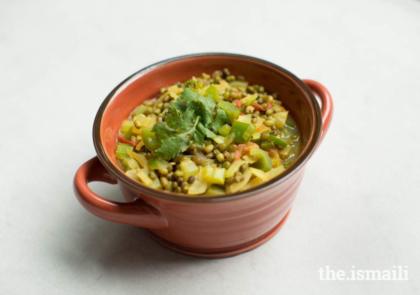 Moong and Vegetable Soup