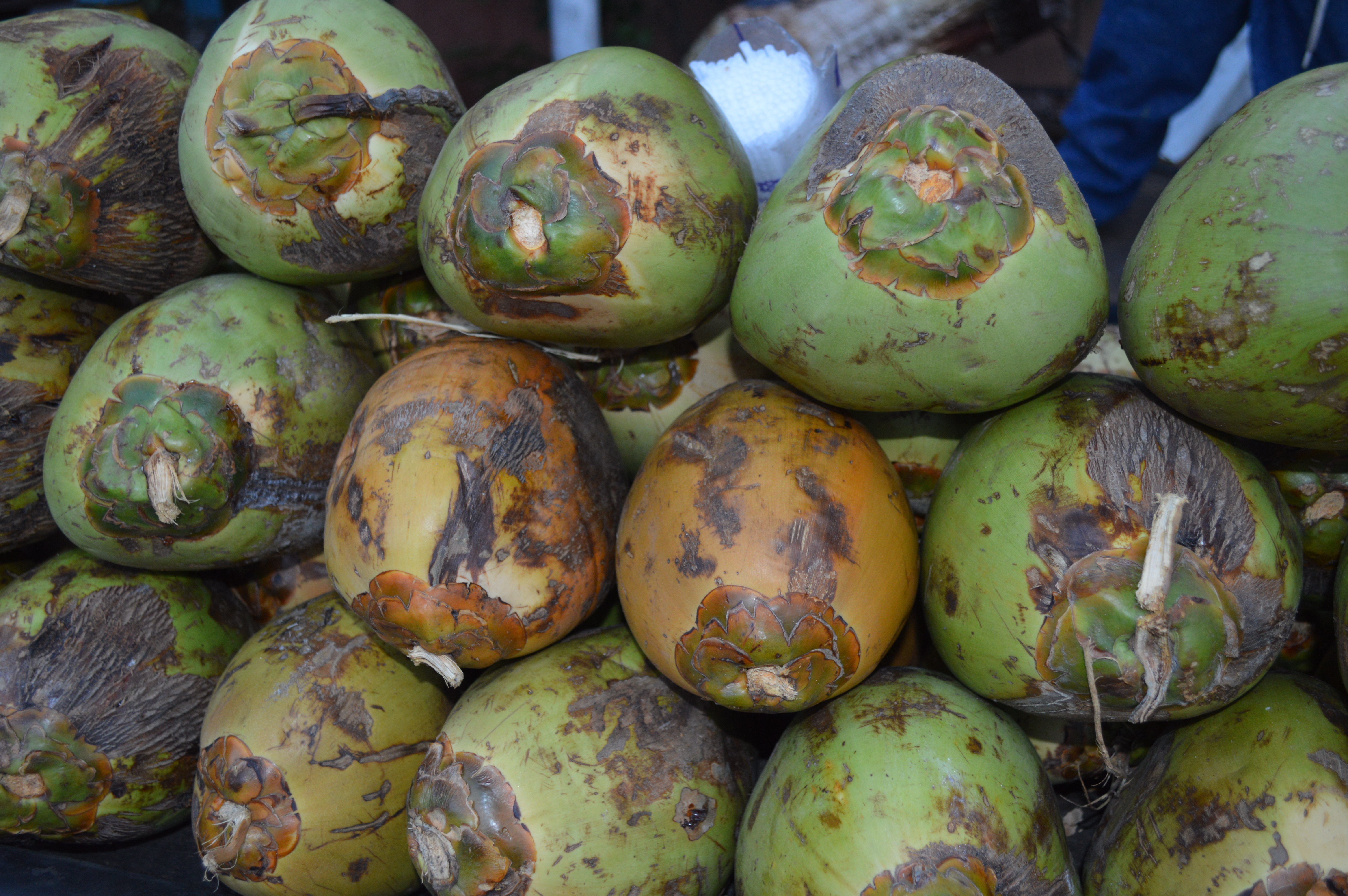 Nariyal Pani