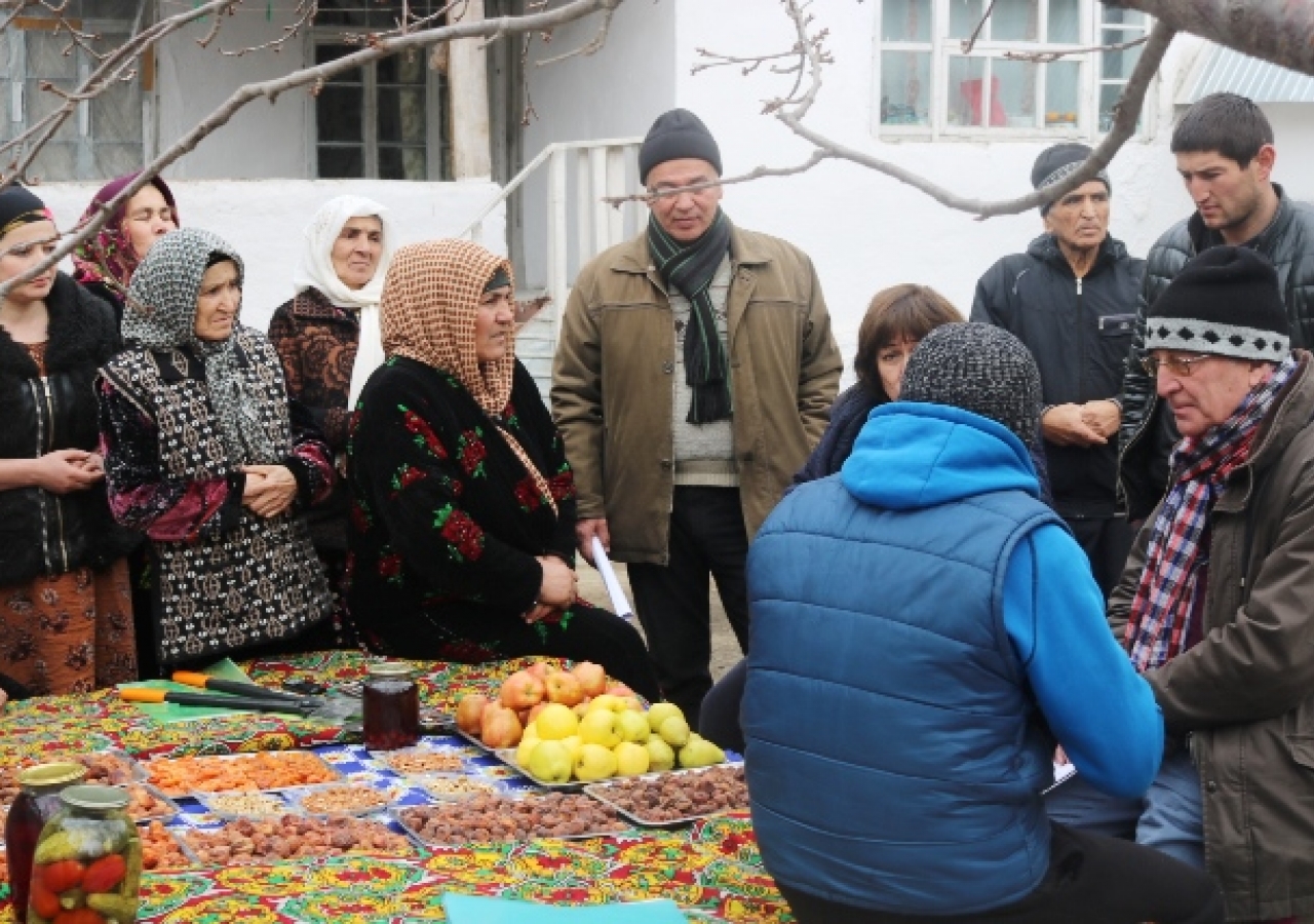 Shiraz and experts meeting with Women's Producer Group for improved apricot production and processing, Pastighav village, Kuhistoni Mastchoh district.