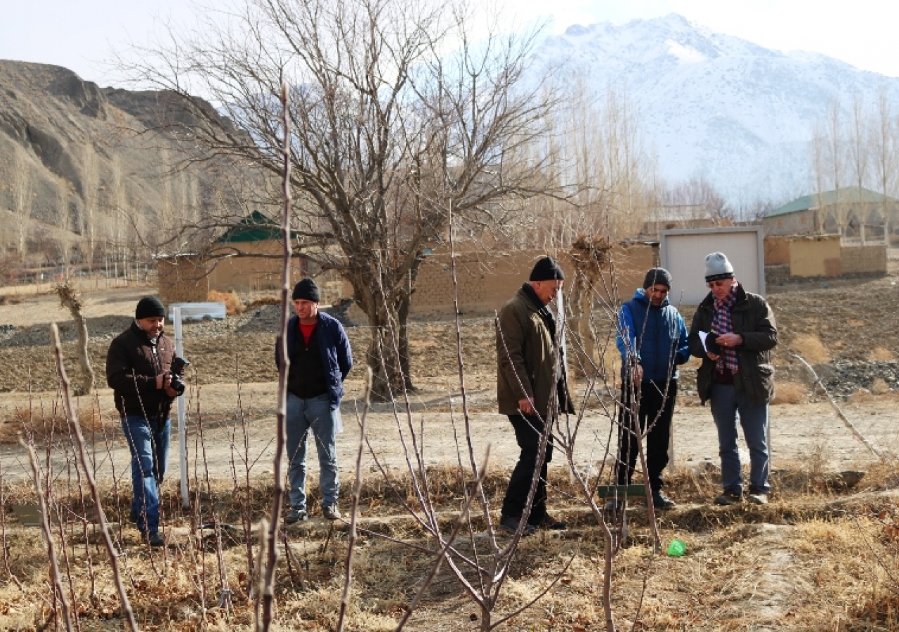 Fruit tree nursery group (Shiraz with farmer and experts) in Pokhut village, Ayni district.