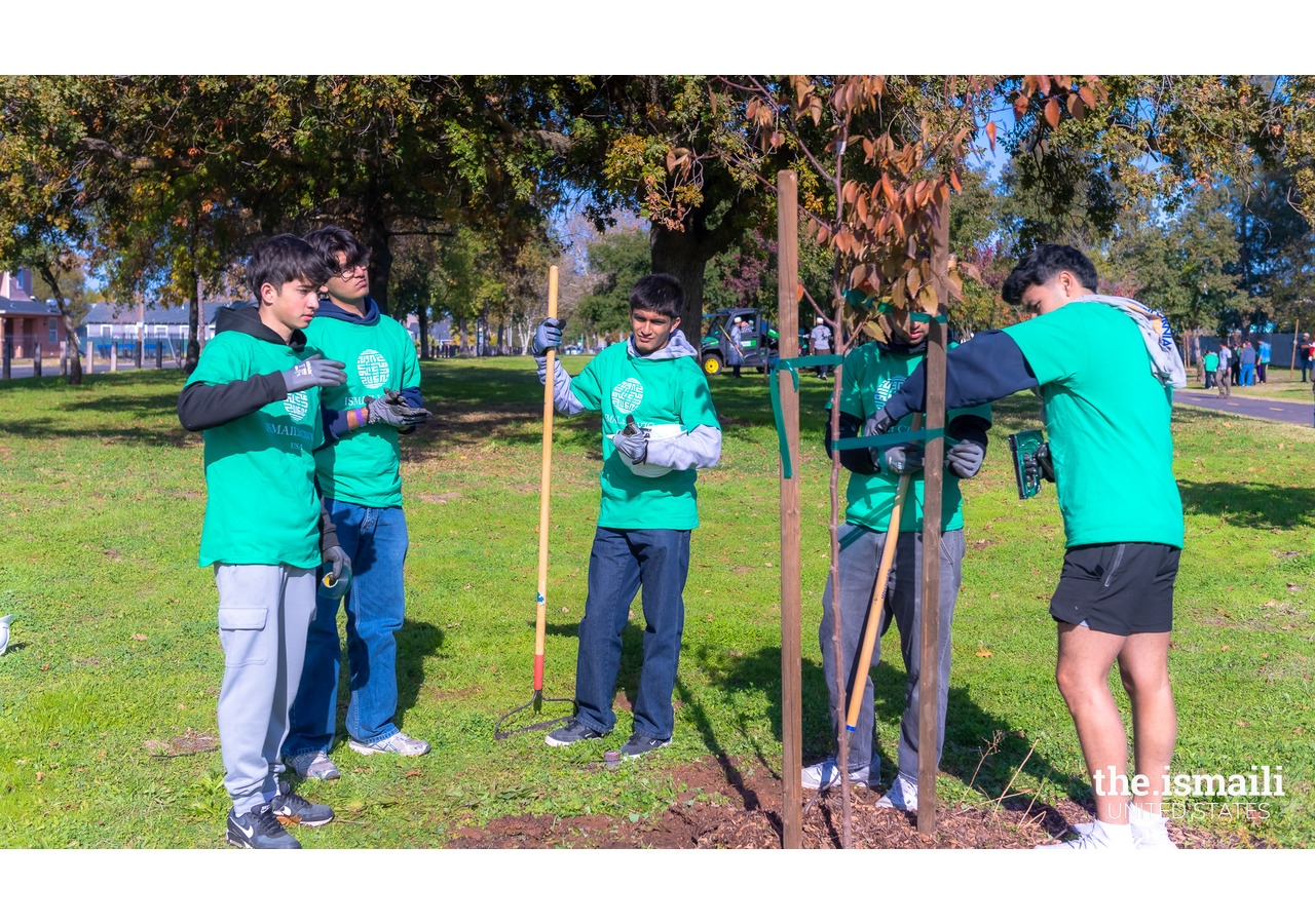 Ismaili CIVIC volunteers add the finishing touches to a newly- planted tree, securing it with straps and support poles to ensure it grows straight .