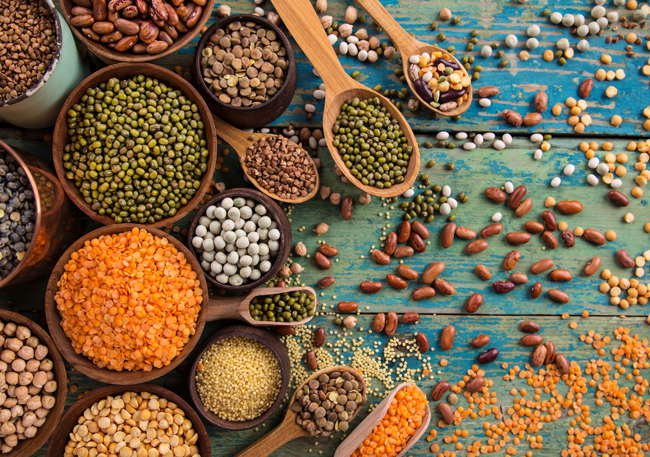 pulses, nutrition, iyp2016