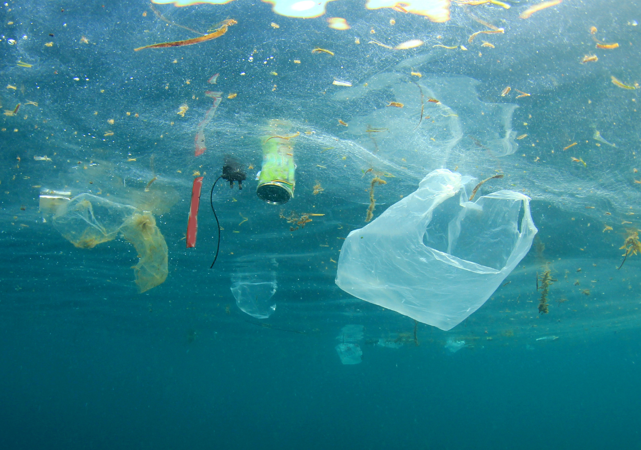 At the current rate of plastic production, by 2050, there will be more plastic in the sea than fish.