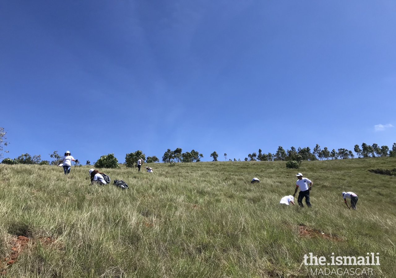 Les premiers arbres sont plantés à Ambohidratrimo, Anosiala.