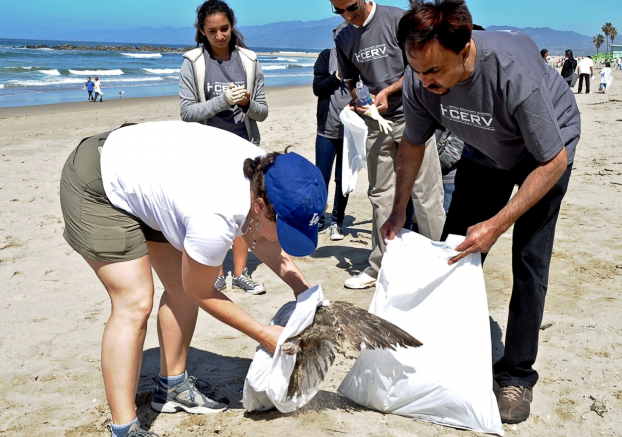 Working with volunteers from other communities, Ismaili Muslims help clean up Venice Beach in California.