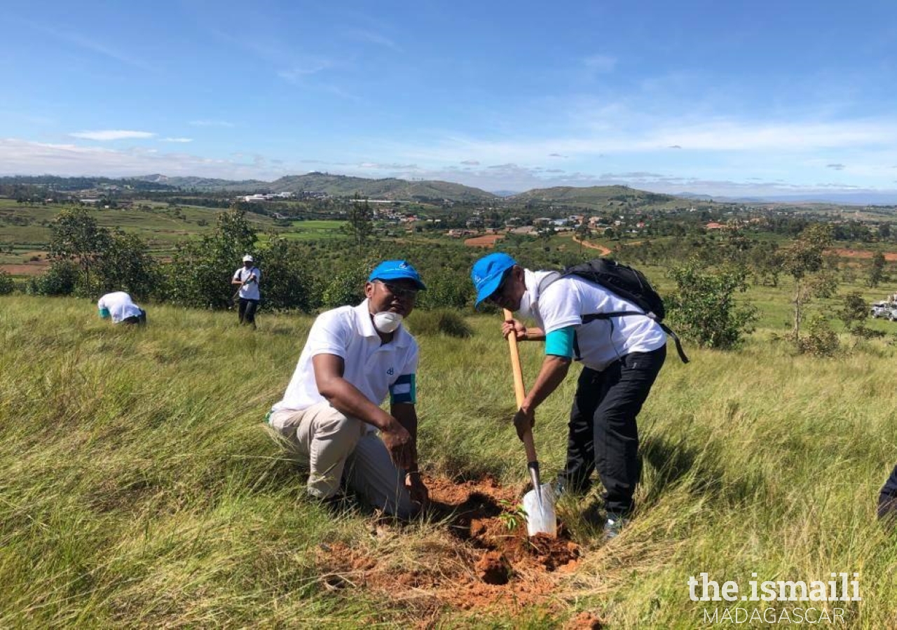 Members of the Première Agence de Microfinance (PAMF) dig the hole to insert a plant in Ambohidratrimo, Anosiala.