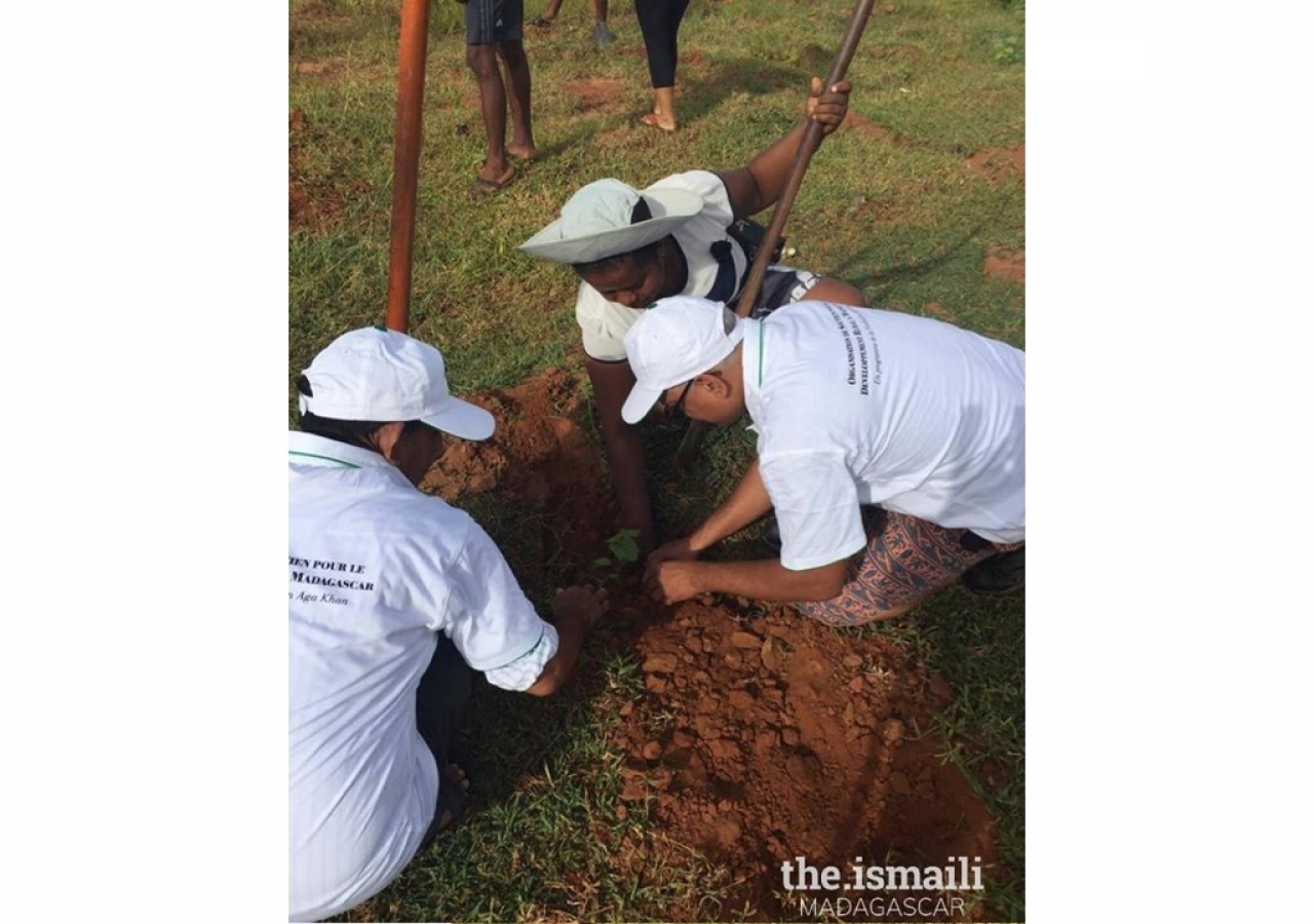 Reforestation in Antsohihy, Sofia by members of the Organisation de Soutien pour le Développement Rural à Madagascar (OSDRM).