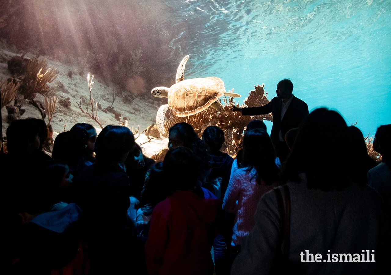 Prince Hussain tells young students the story behind a photo of a turtle at The Living Sea photo exhibition in Lisbon.