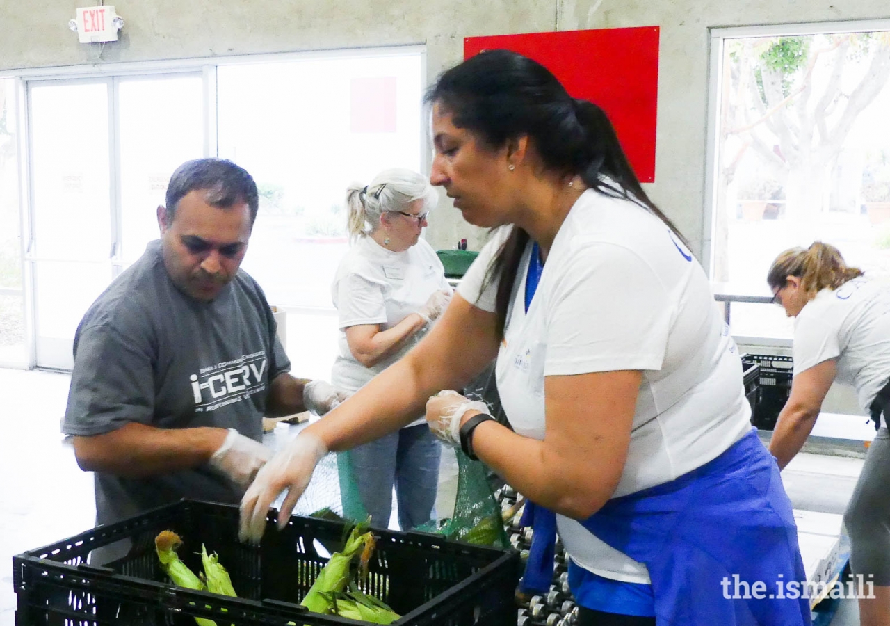 Feeding America in San Diego receives help from I-CERV volunteers.