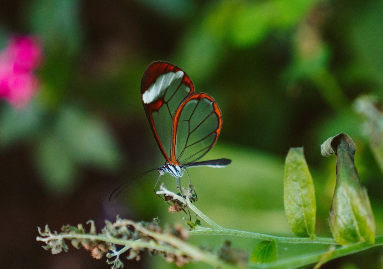 Islam encourages us all to look after Allah's creation, and not to disrupt the delicate balance of nature.