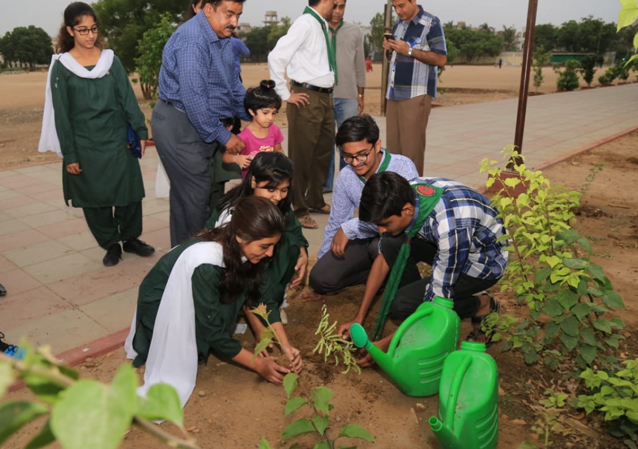 Girl Guides and Boy Scouts plant trees together to commemorate Pakistan's 71st Independence Day.