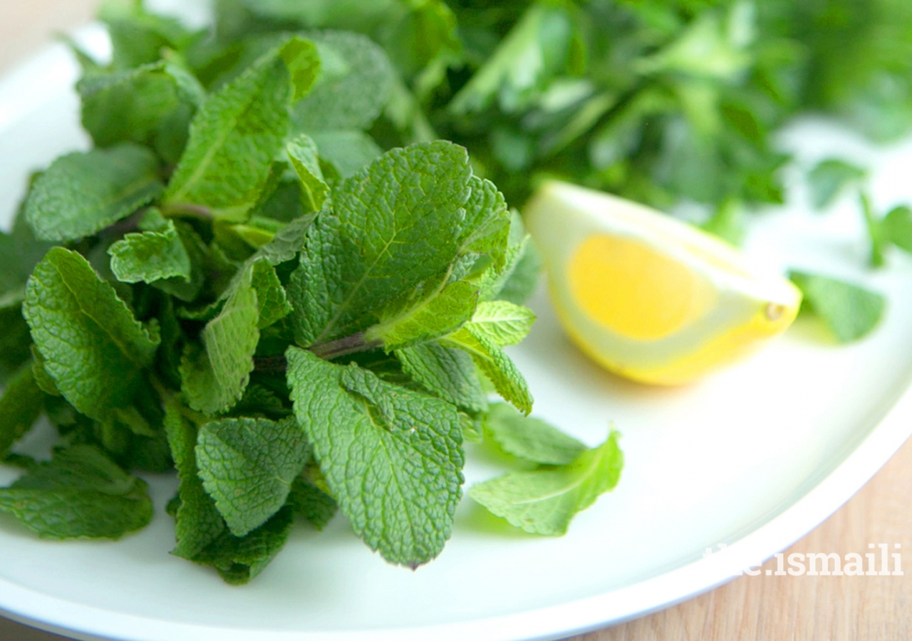 Syrian Fattoush Salad Ingredients 