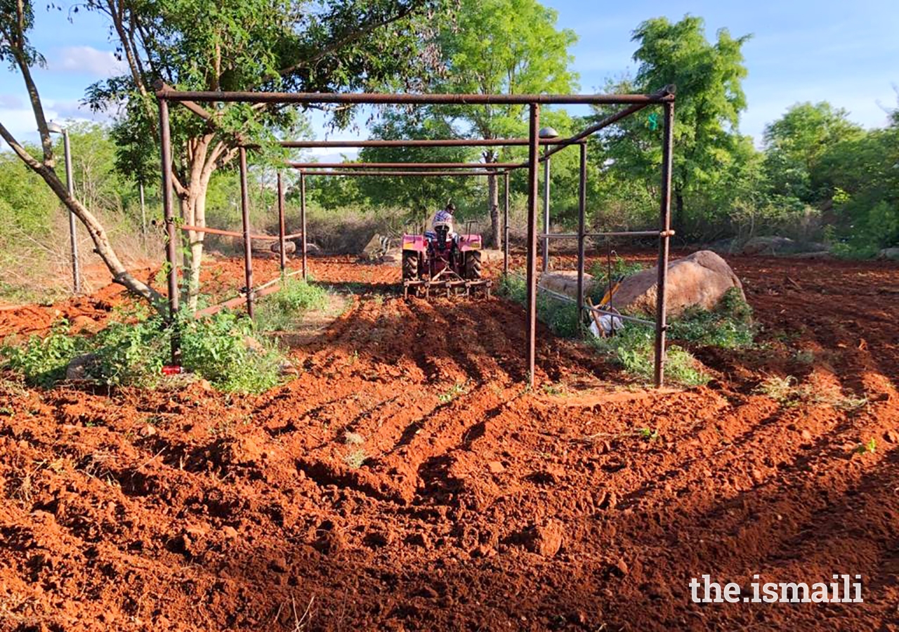 Students cultivated an 8,000 square yard organic farm.