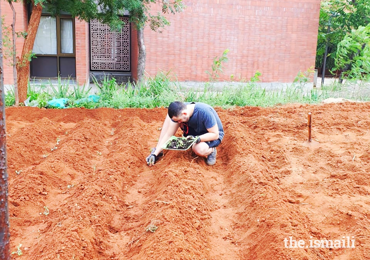 To initiate the farm, students had to dig up the ground, remove unwanted stone, and soften the soil. 