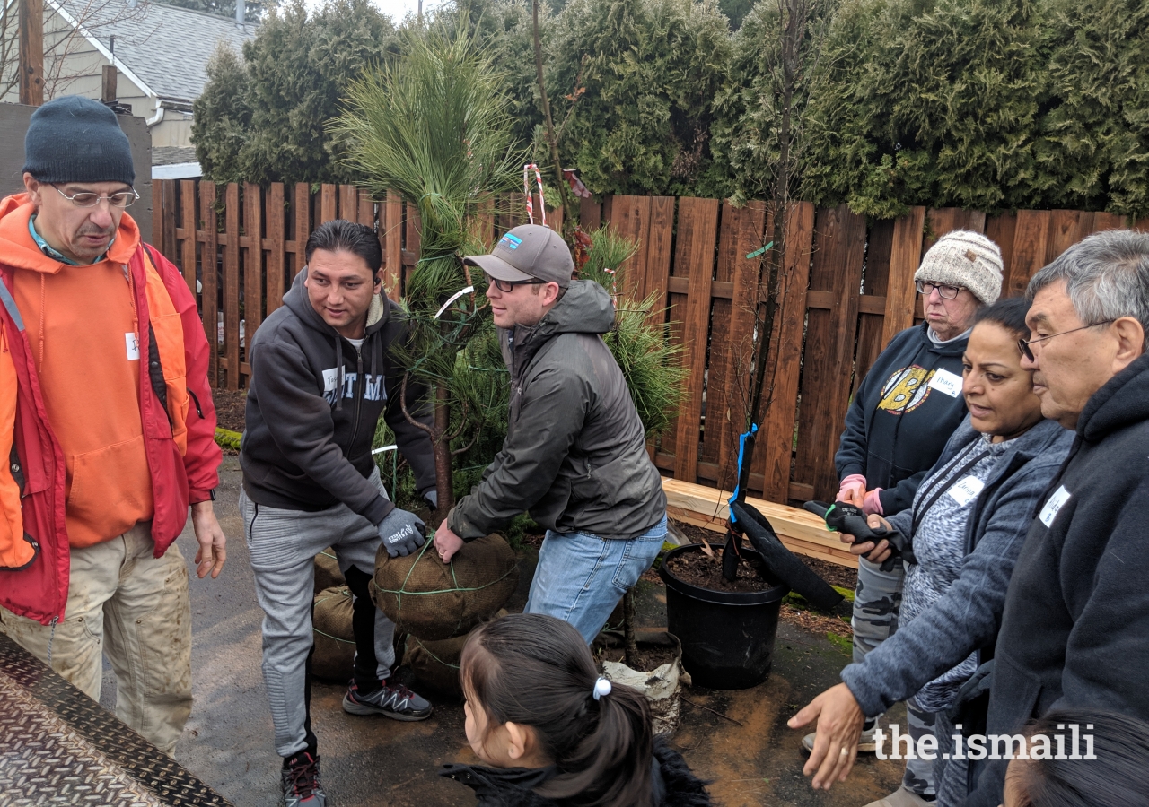 Tasallah Hussaini and a neighborhood volunteer load the trees to be planted, as his daughter Alina, Zarina Khan, and Alidad Khan look on.