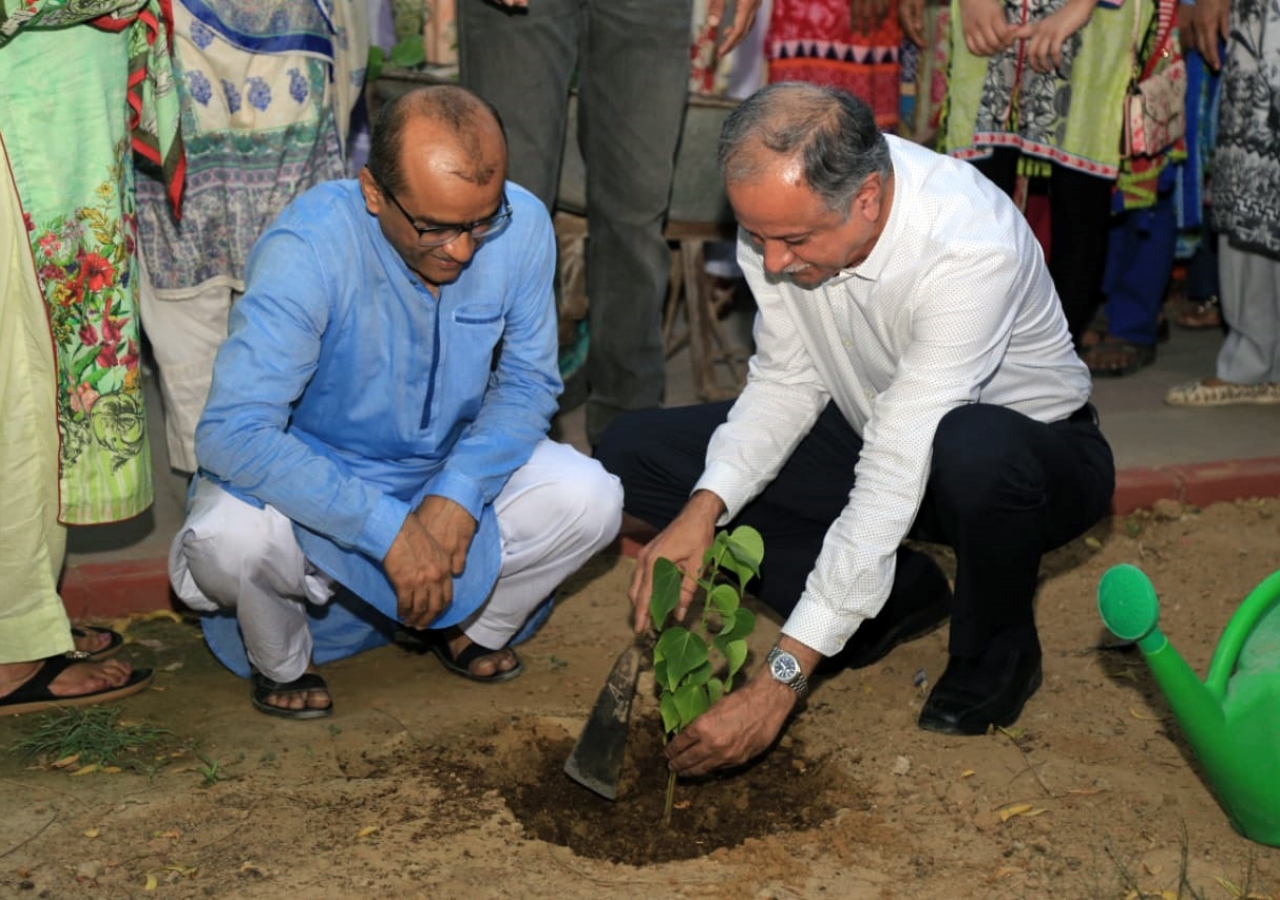 Jamati leaders participated in the tree planting drive to commemorate Pakistan's Independence Day.