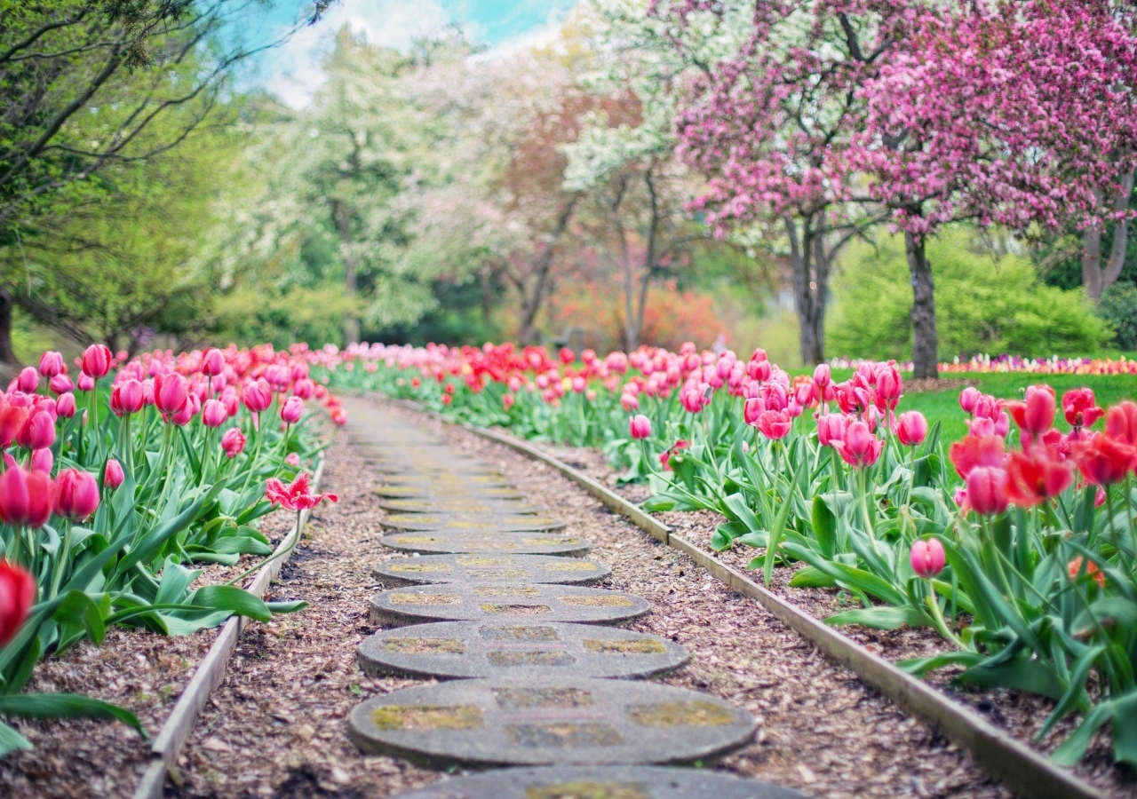 El primer día de primavera trae un aire de esperanza y optimismo. FOTO: CREATIVE COMMONS LICENSE