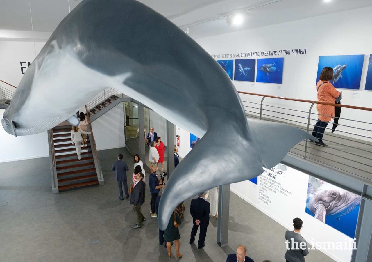 The Living Sea exhibition was hosted by Portugal’s National Museum of Natural History and Science in Lisbon.