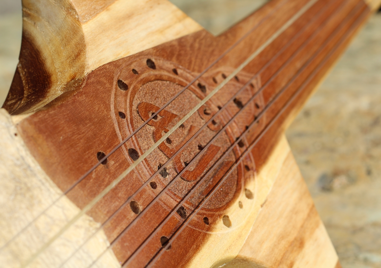 Close-up of rubab.