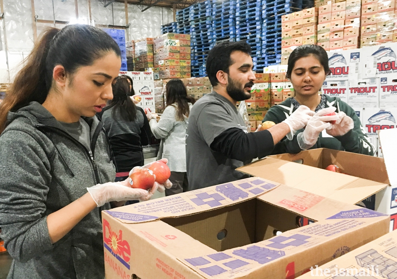 Seattle I-CERV volunteers help Food Lifeline prepare 91,000 lbs of food for those in need.