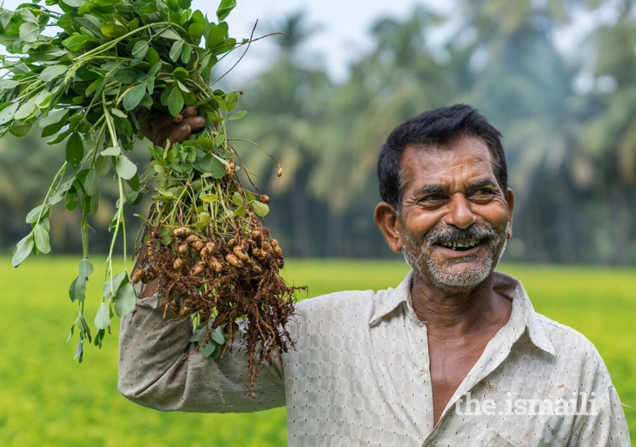 Food security, income enhancement, and sustainability are main objectives of the Programme’s agriculture interventions, reaching over 100,000 farmers.