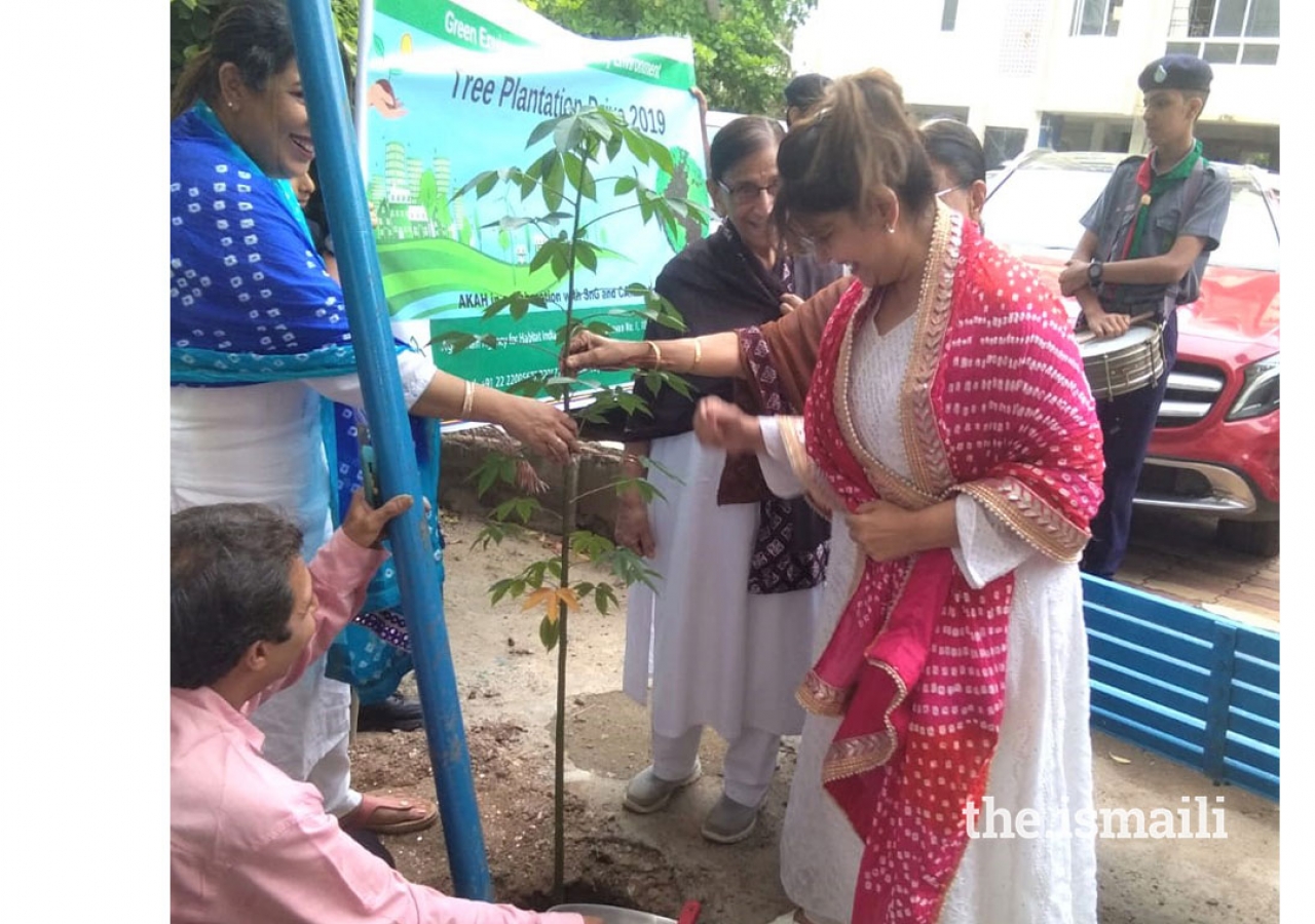 Tree Plantation Drive in CNEI