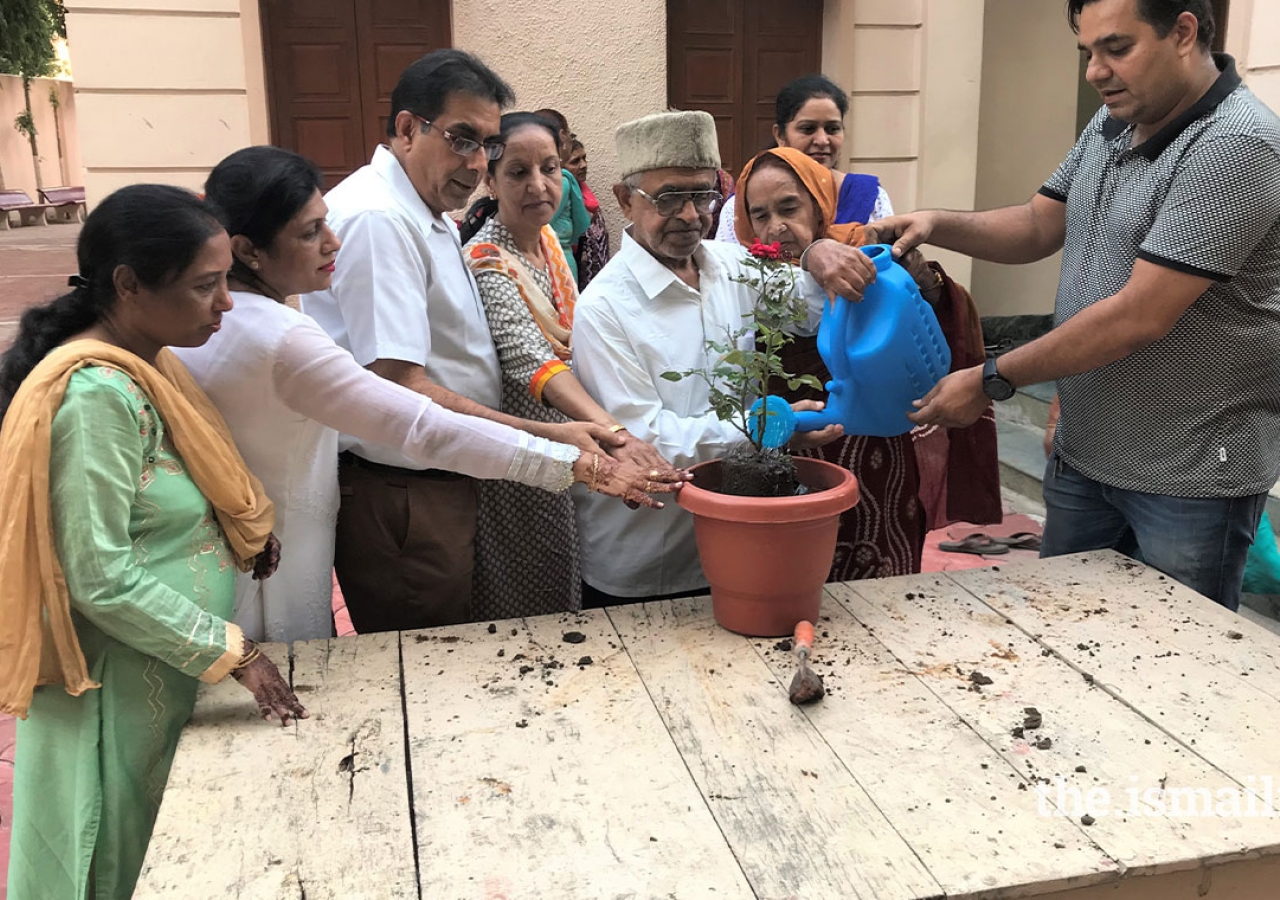 Tree Plantation Drive in CNEI