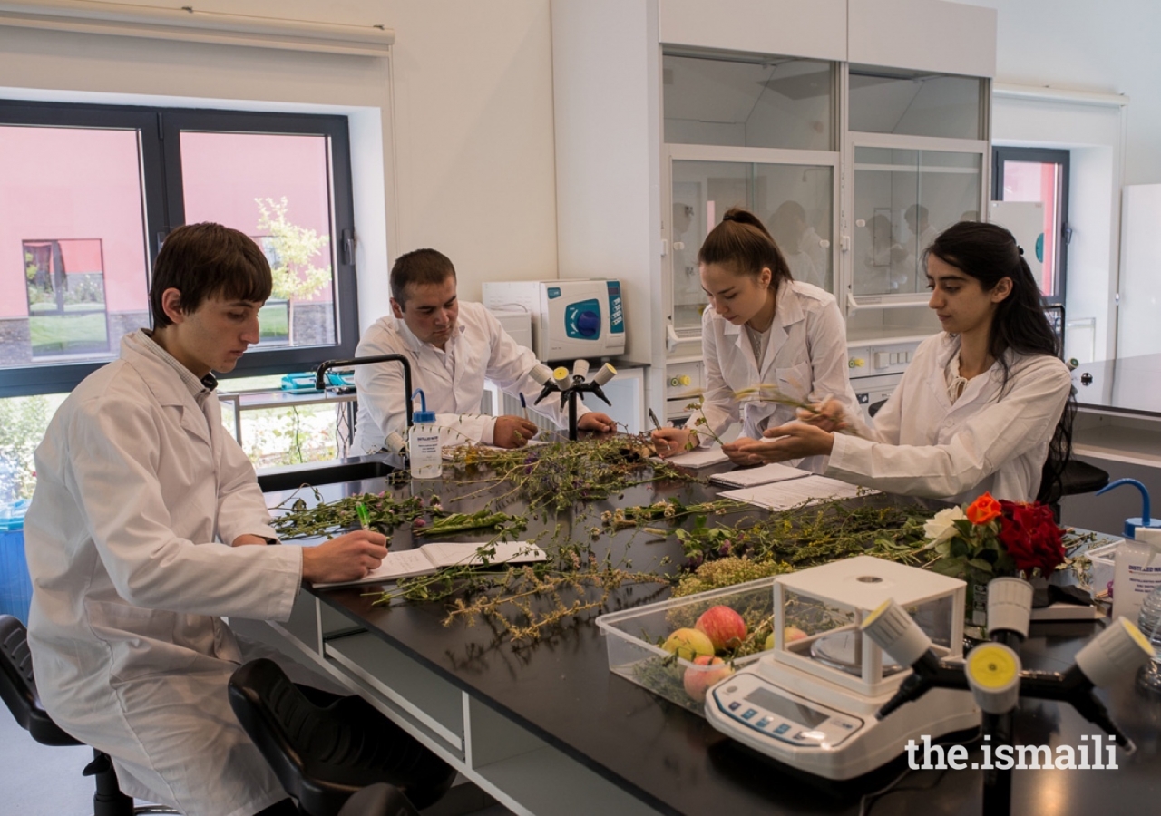 Students using a Wet Lab at UCA’s Khorog Campus.