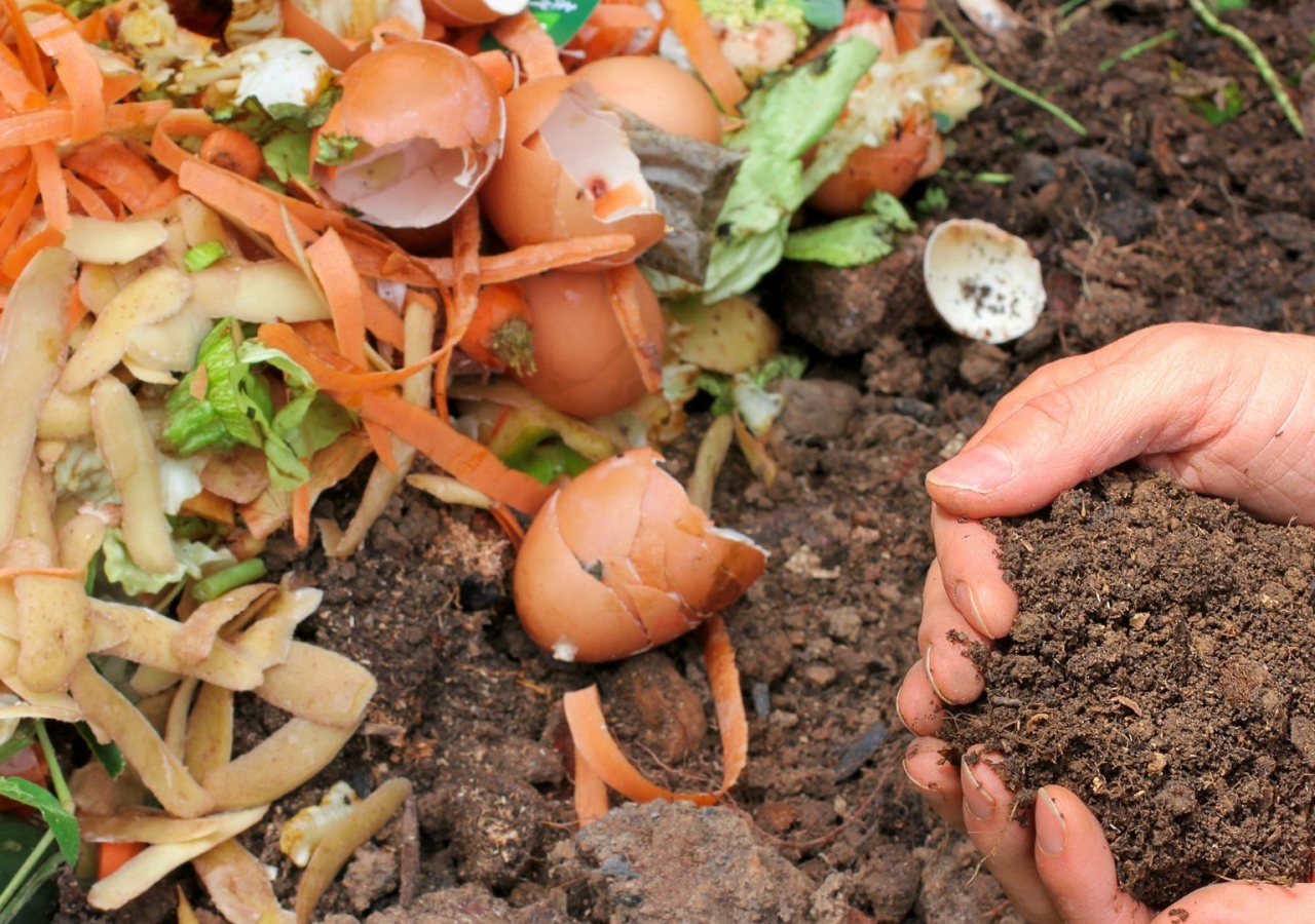 Composting Image