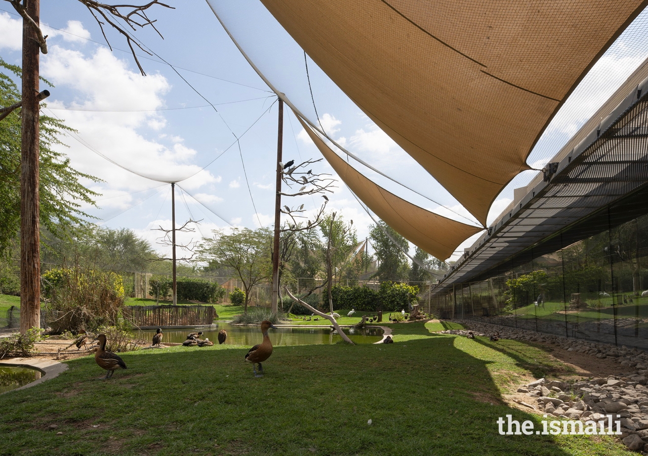 The Wasit Wetland Centre, Sharjah, United Arab Emirates has become a popular place for visitors to appreciate and learn about their natural environment.