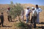 AKF Rural Support Team visits a farm in Syria to check on the new irrigation system. 