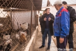 Prince Aly Muhammad visits a local chicken farm owned by Mr Kalyikul Ysyraliev. As a graduate of UCA’s Entrepreneurship Programme, Mr Ysraliev built his first greenhouse in 2013 with the support of a loan from the Kyrgyz Investment and Credit Bank and UCA, and has been supplying chickens, eggs, as well as vegetables and roses to the local community for the past five years.