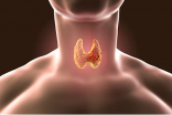 Thyroid gland inside the human body.