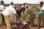 Through “Planting a Tree for Africa”, the Serena Hotels Group has planted over one million trees in the National Parks of Kenya.