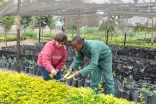 Roshan Hemani is the Plant Nursery Manager at the Aga Khan University’s Principal Campus in East Africa at Arusha.