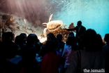 Prince Hussain tells young students the story behind a photo of a turtle at The Living Sea photo exhibition in Lisbon.