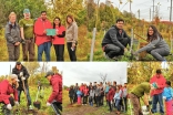 Hard at work at Rouge National Urban Park