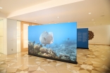 The Living Sea - Natural Beauty was on display at the Ismaili Centre Toronto from 24 May to 4 June.