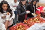 Alternate Winter Break brought together over college students from around the USA, who spent their winter break engaged in service at food pantries, schools and community service centers.