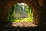 As the spring season approaches, there is light at the end of the tunnel in our journey towards normalcy.