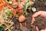 Composting Image