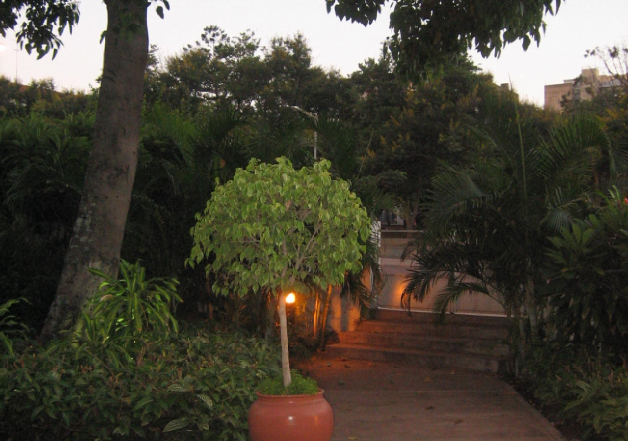 A view of the Maputo Jamatkhana garden. 