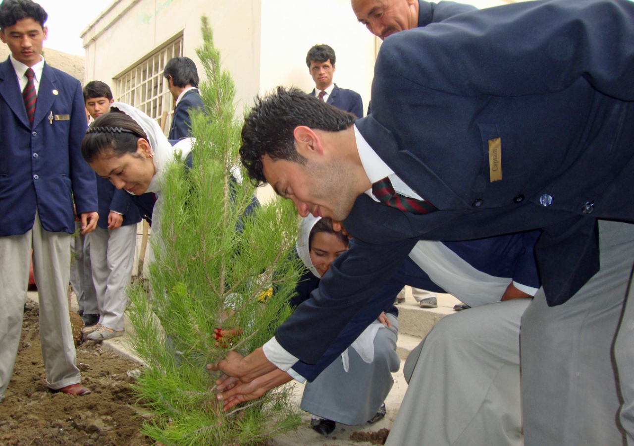 Volunteers planted trees on the grounds of their respective Jamatkhanas.