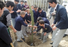 Older volunteers help their junior counterparts to plant a tree, and teach them about the importance of caring for the environment.