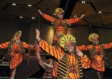 A bhangra troupe performs as part of Jamati celebrations for Mawlana Hazar Imam&amp;rsquo;s Far East visit.