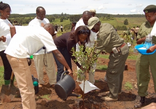 Through “Planting a Tree for Africa”, the Serena Hotels Group has planted over one million trees in the National Parks of Kenya.