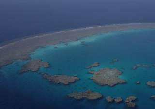 The film 7 Seas is shot in Sataya Reef, along Egypt’s Red Sea coast, where Prince Hussain spent time swimming with and photographing spinner dolphins, against a backdrop of crystal clear waters.