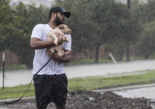 Volunteers ventured out into stormy conditions to provide assistance in flood affected areas